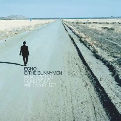 Echo And The Bunnymen - What Are You Going To Do With Your Life [Remastered, Expanded] (1999/2024)