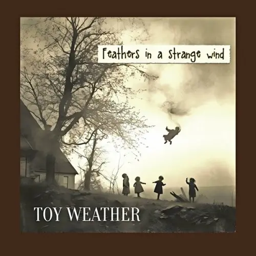 Toy Weather - Feathers in a strange wind (2025)