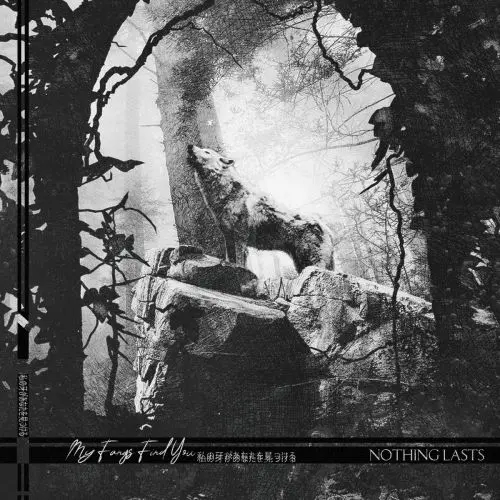 My Fangs Find You - Nothing Lasts (2025)
