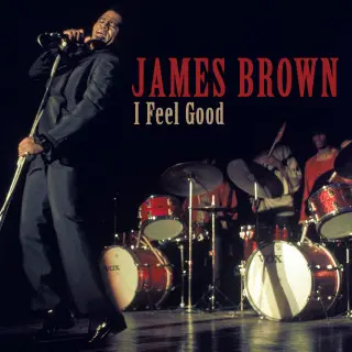 James Brown - I Feel Good (2013)