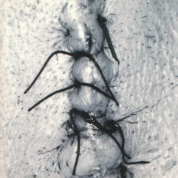 Scheer - Infliction (1996)