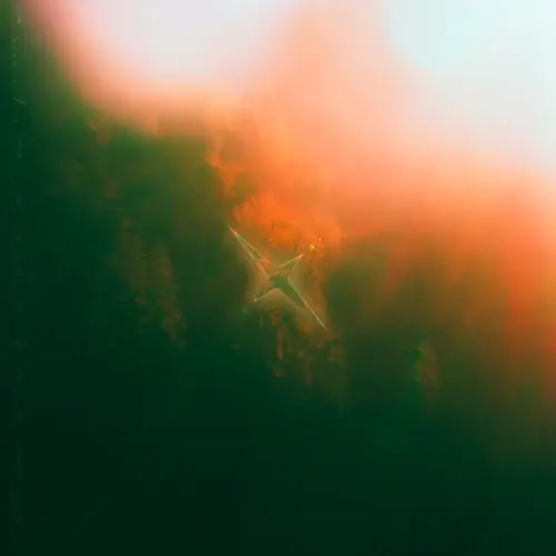 Foxcult - Watercolors The Emerald Grove (2025)