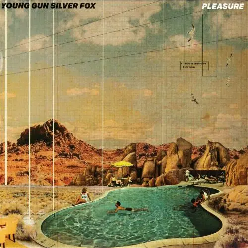 Young Gun Silver Fox / Pleasure