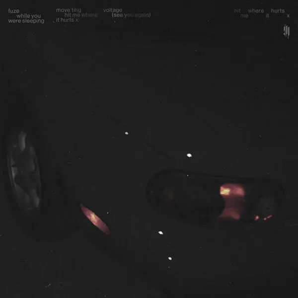 Skrillex hit me where it hurts x [EP]