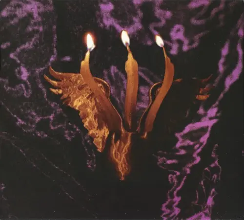 Shmulikraut - Guts Voyage - 2025