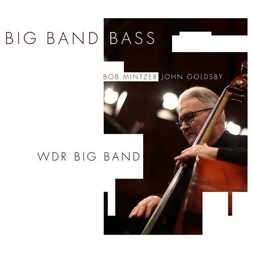 Wolfgang Niedecken / ig Band Bass