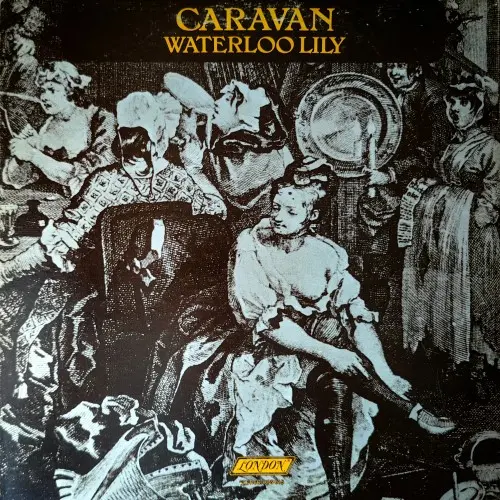 Caravan – Waterloo Lily