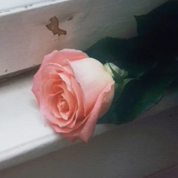 Planet Funk / Blooom