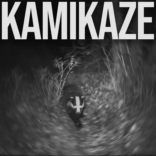 Agoraphobia / Kamikaze
