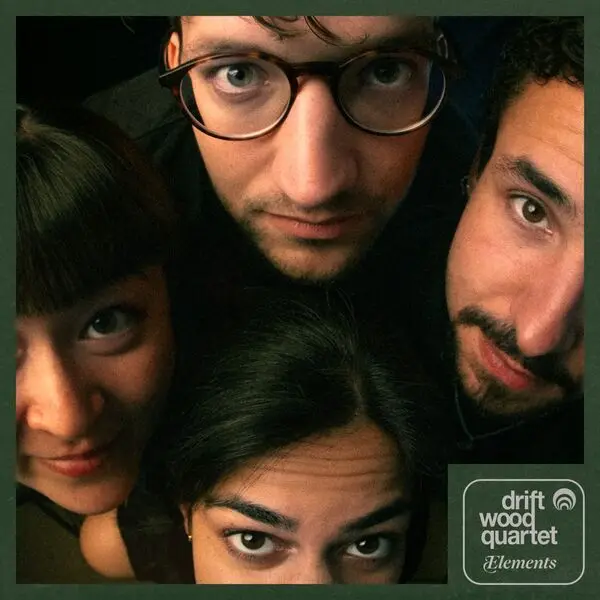 Driftwood Quartet / Elements