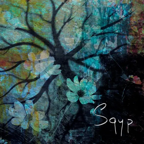 Sqyp / Chance or Fate?