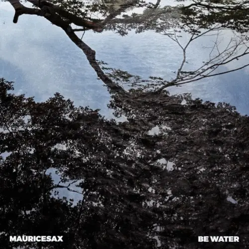 Mauricesax / Be Water