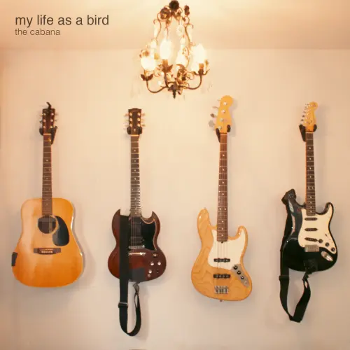 my life as a bird / The Cabana