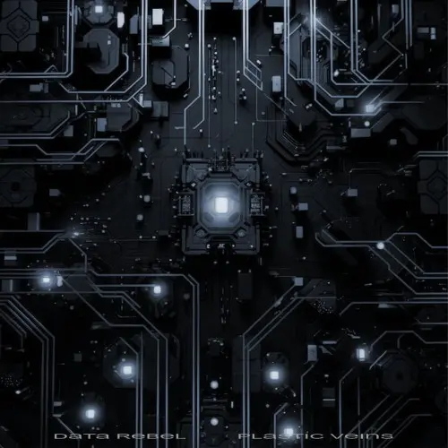Data Rebel / Plastic Veins