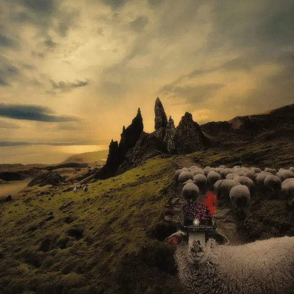 Franck Carducci - 2026 - Sheeple