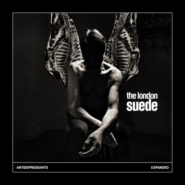 Suede / Antidepressants: Expanded