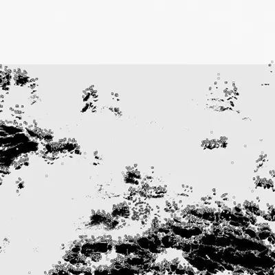 Bot1500 - The Black Sea - 2026