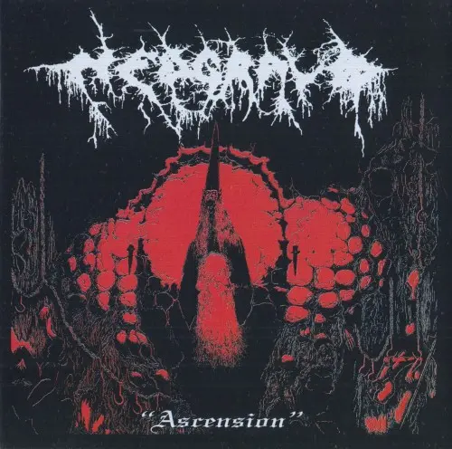 Nedgravd / Ascension
