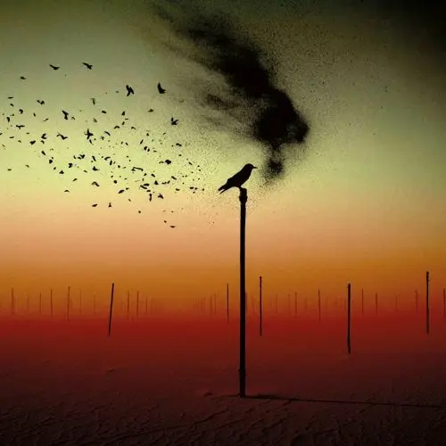 Canaan / For A Bird That Never Flew
