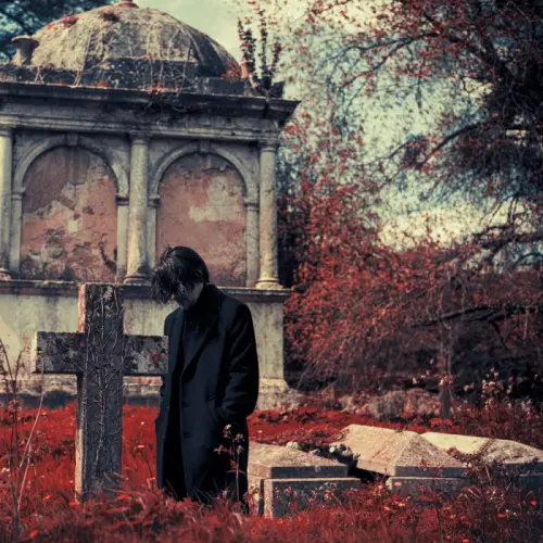 Steven Wilson - Requiem for a Village (Single) - 2026