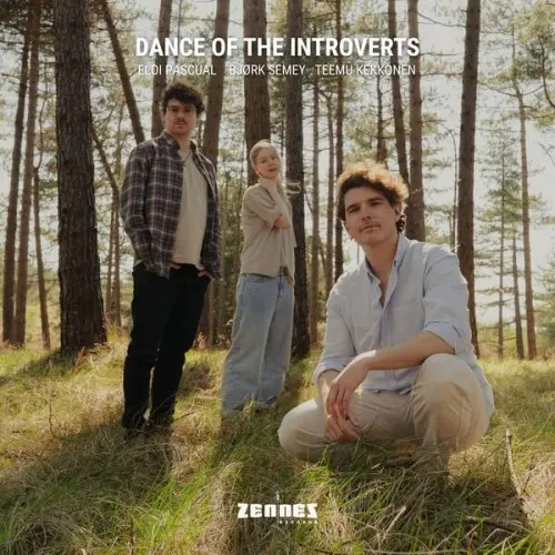 Teemu Kekkonen / Dance of the Introverts