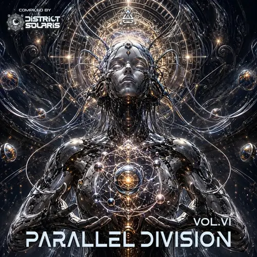 Parallel Division Vol. 6