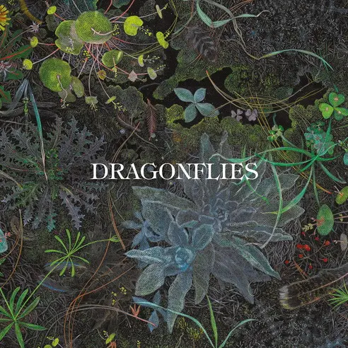 Dragonflies (Dhani Harrison, Nigel Godrich) -  Dragonflies